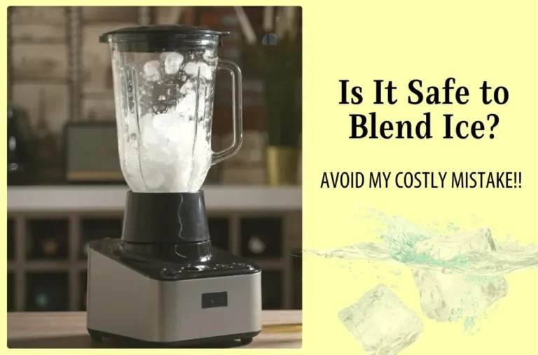 Is It Safe To Put Ice In A Food Processor