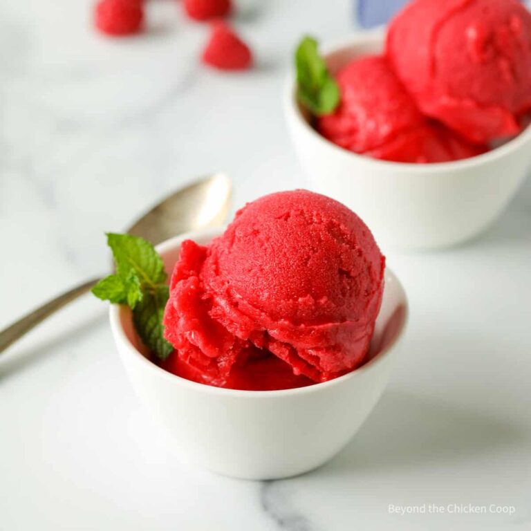 How To Make Raspberry Sorbet In Ice Cream Maker