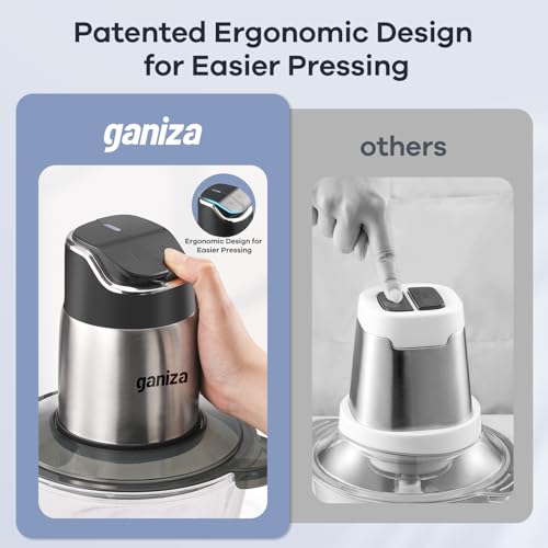Ganiza Food Processor Review: Honest Test & Verdict