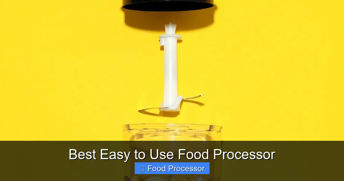 Best Easy to Use Food Processor