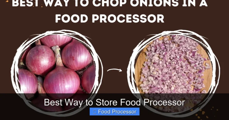 Best Way to Store Food Processor