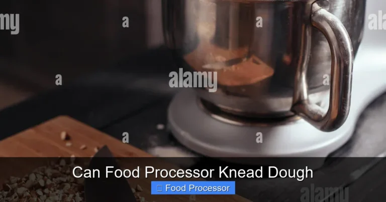 Can Food Processor Knead Dough