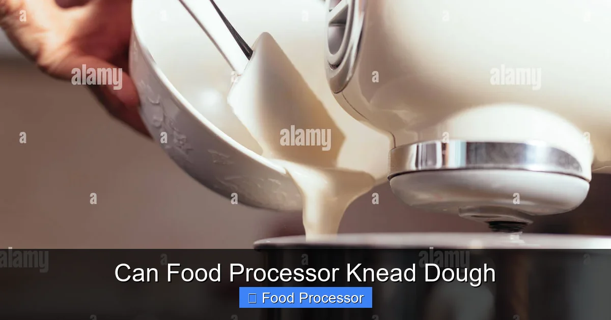 Can Food Processor Knead Dough