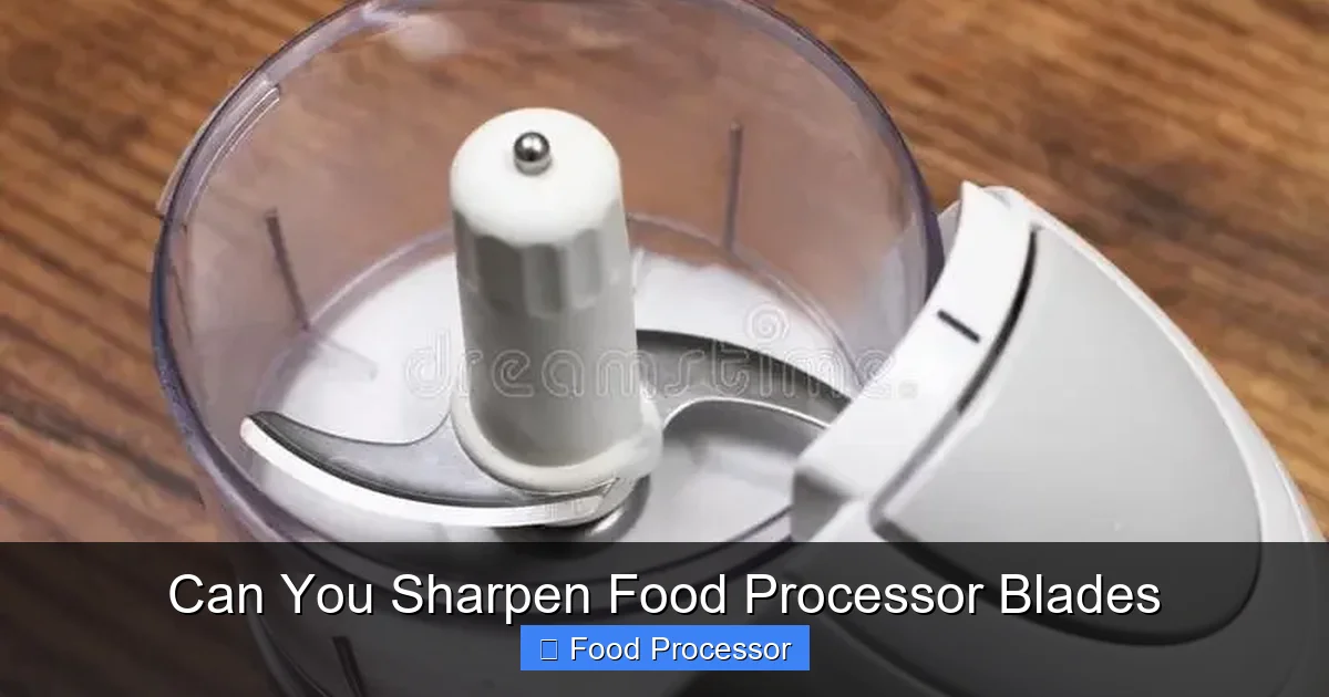 Can You Sharpen Food Processor Blades