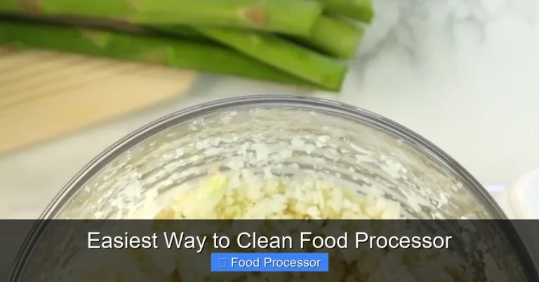 Easiest Way to Clean Food Processor Easiest Way to Clean Food Processor