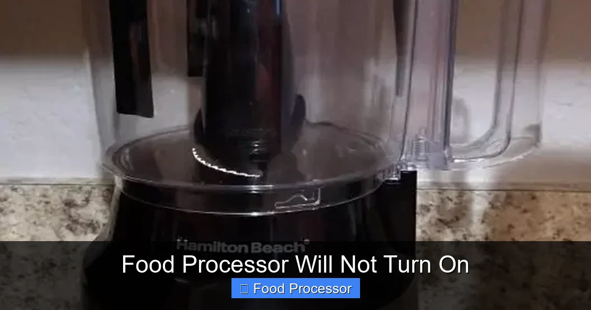 Food Processor Will Not Turn On