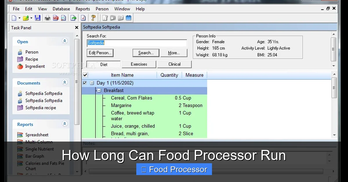 How Long Can Food Processor Run