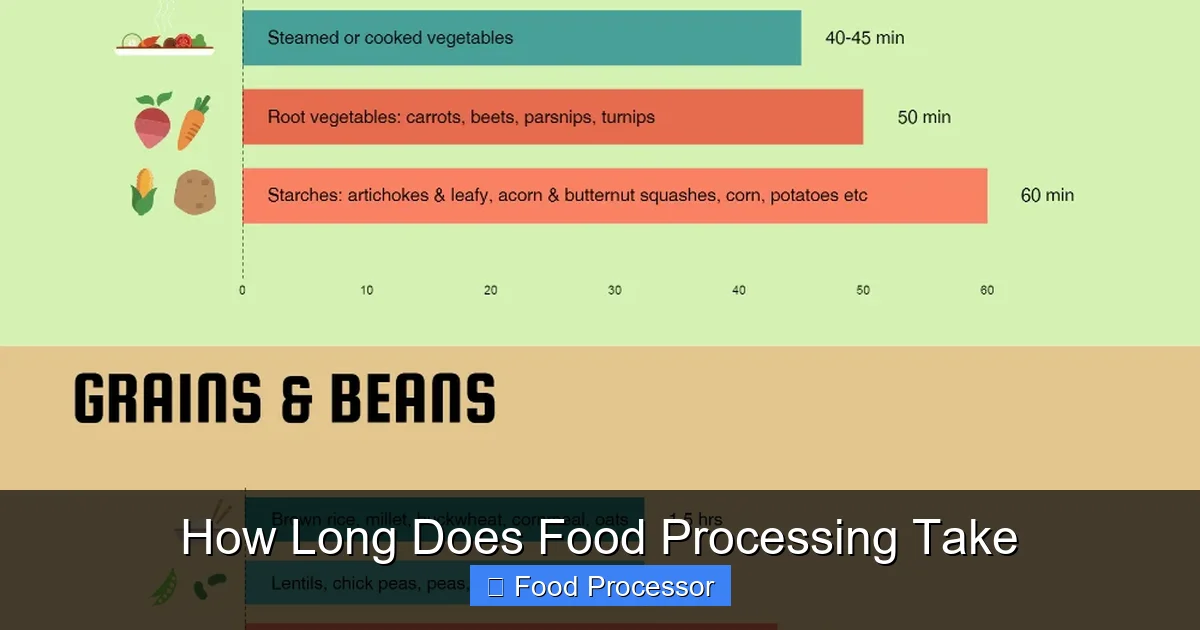 How Long Does Food Processing Take