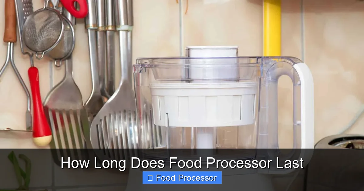 How Long Does Food Processor Last