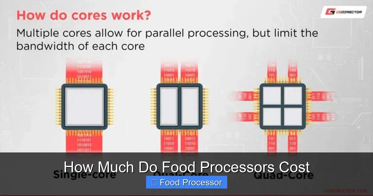 How Much Do Food Processors Cost