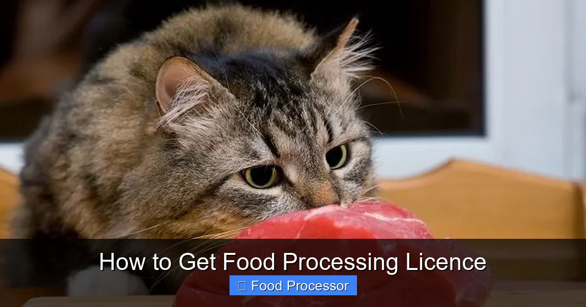 How to Get Food Processing Licence