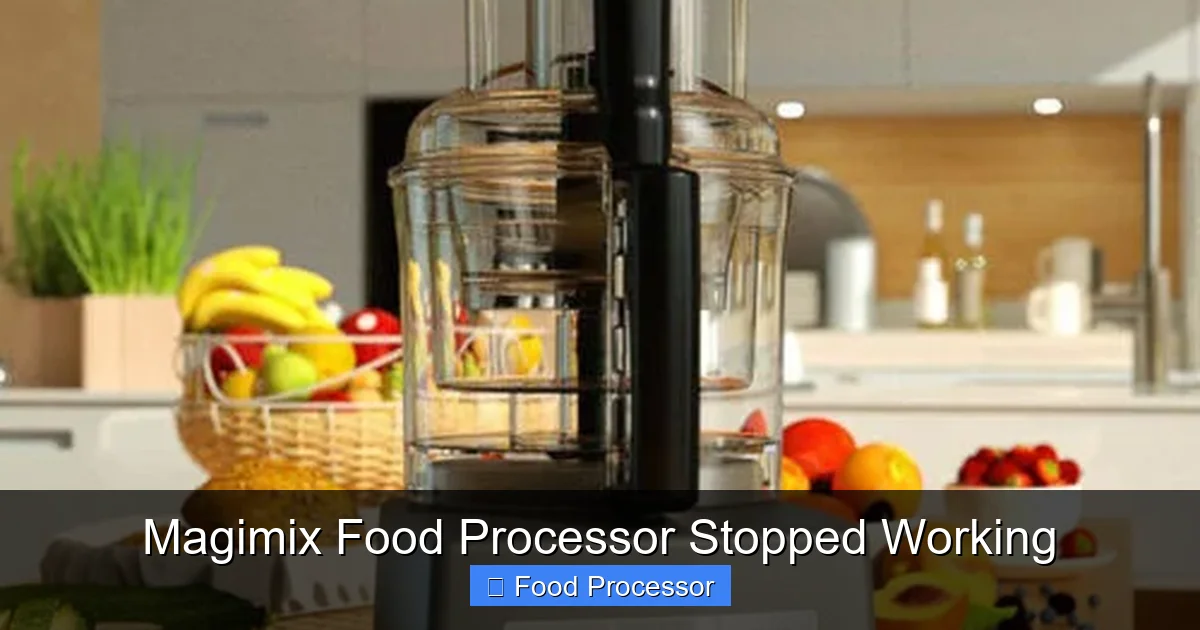 Magimix Food Processor Stopped Working
