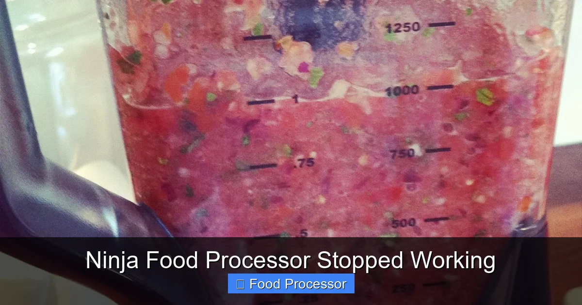 Ninja Food Processor Stopped Working