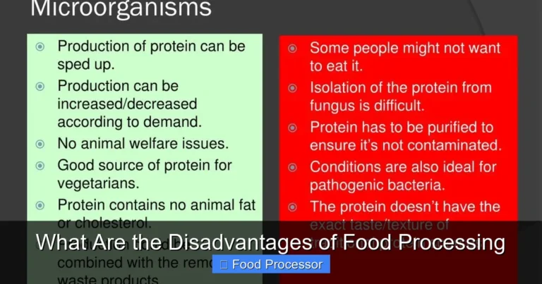 What Are the Disadvantages of Food Processing What Are the Disadvantages of Food Processing