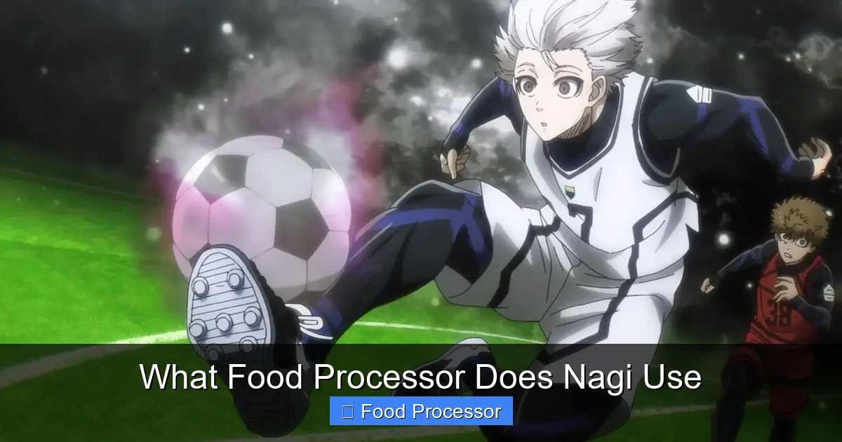 What Food Processor Does Nagi Use
