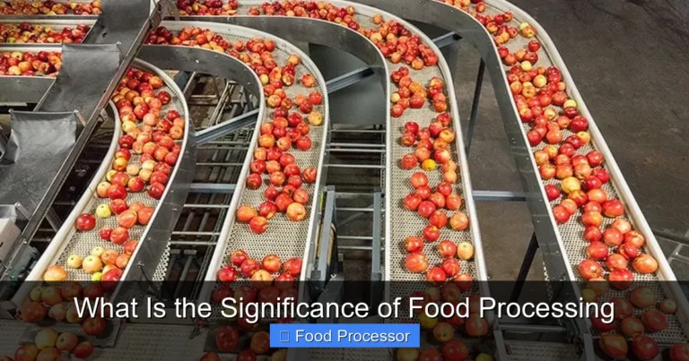 What Is the Significance of Food Processing