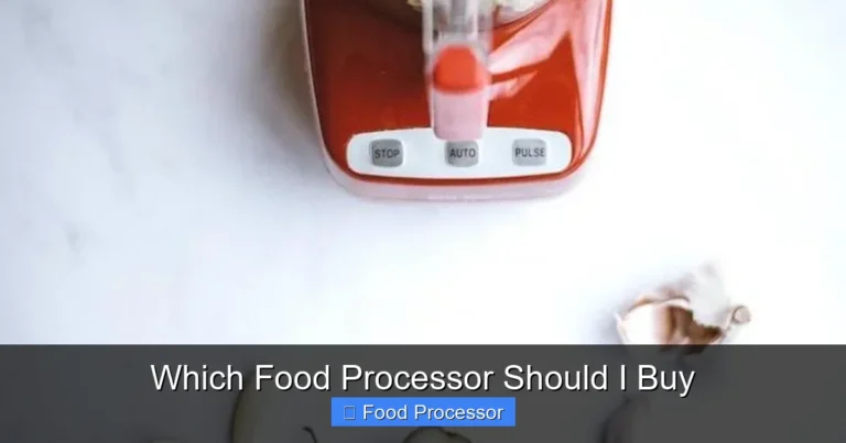 Which Food Processor Should I Buy Which Food Processor Should I Buy
