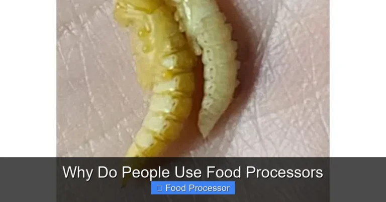 Why Do People Use Food Processors Why Do People Use Food Processors