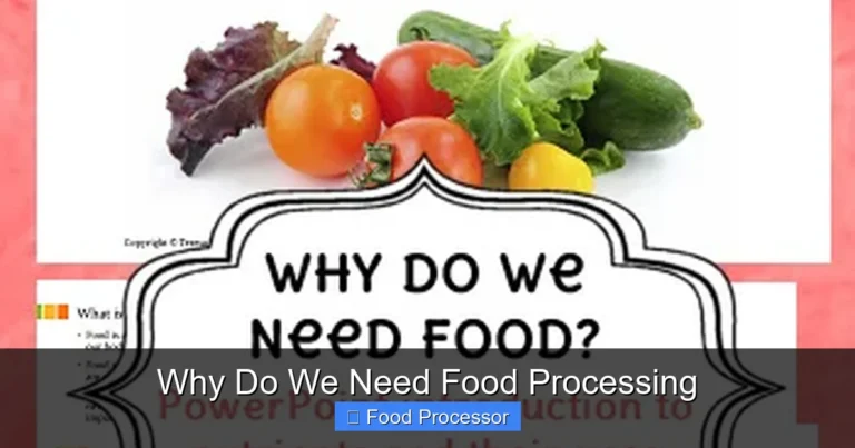 Why Do We Need Food Processing