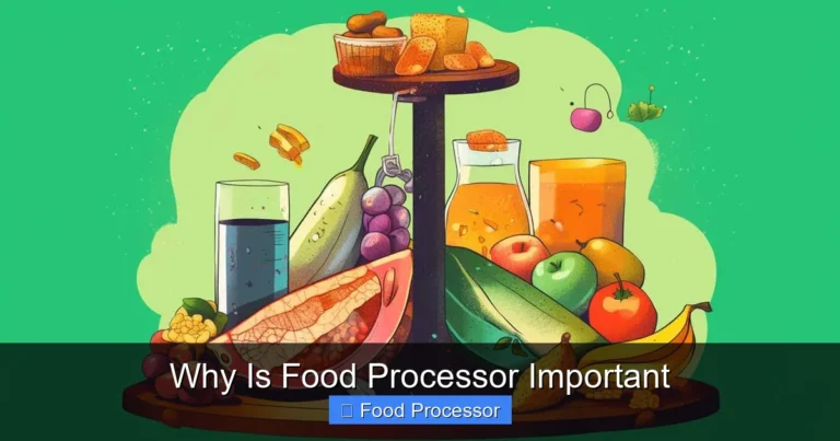 Why Is Food Processor Important