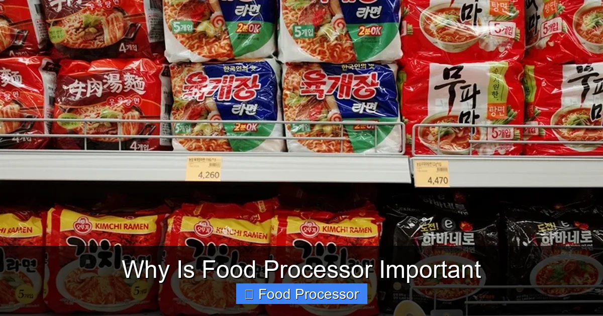 Why Is Food Processor Important