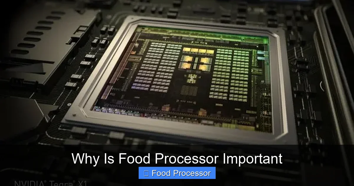 Why Is Food Processor Important