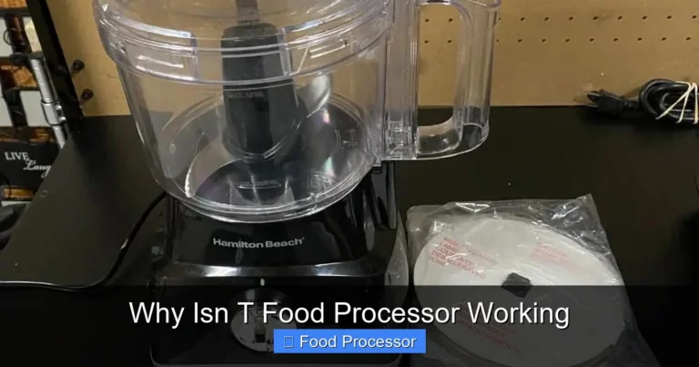 Why Isn T Food Processor Working Why Isn T Food Processor Working