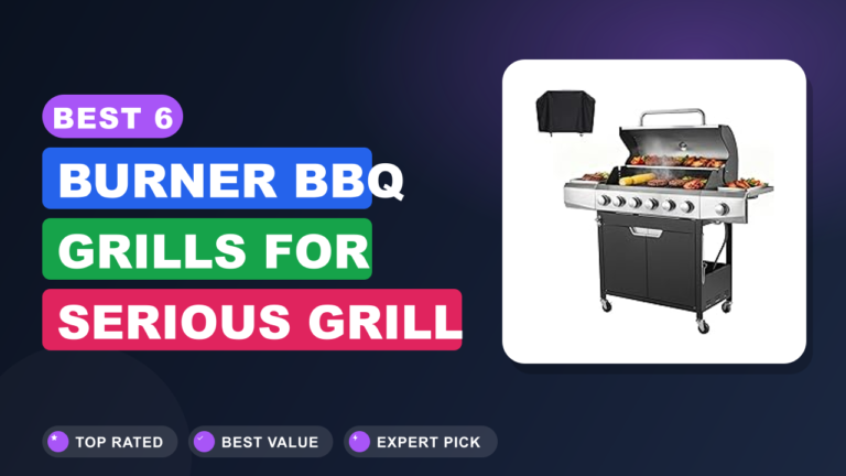 Best 6 Burner BBQ Grills for Serious Grill Masters