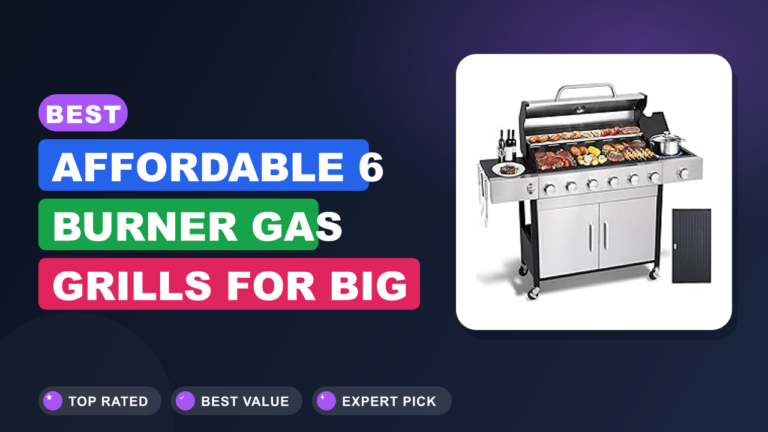 Best Affordable 6 Burner Gas Grills for Big Cookouts